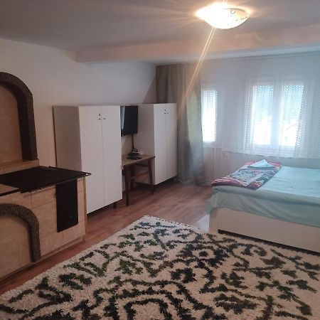 Casa Bucovina Dorna Candrenilor Ascutitele Екстер'єр фото