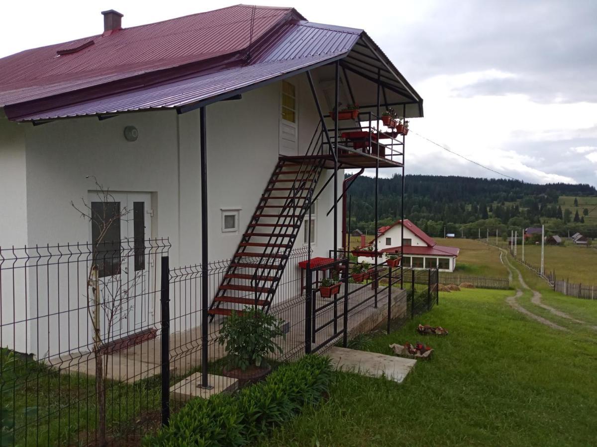 Casa Bucovina Dorna Candrenilor Ascutitele Екстер'єр фото