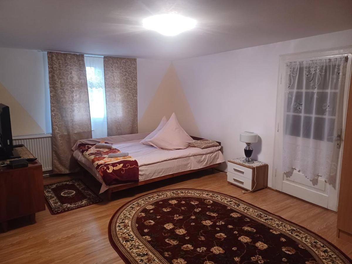 Casa Bucovina Dorna Candrenilor Ascutitele Екстер'єр фото