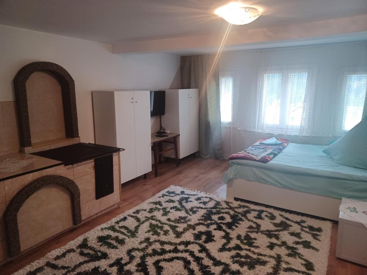 Casa Bucovina Dorna Candrenilor Ascutitele Екстер'єр фото
