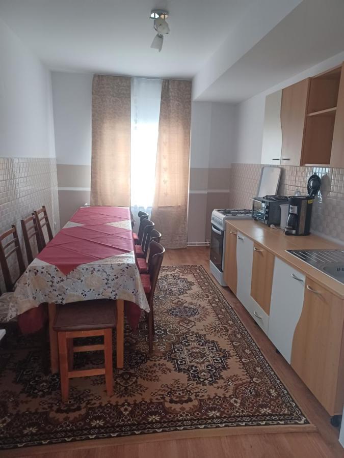 Casa Bucovina Dorna Candrenilor Ascutitele Екстер'єр фото